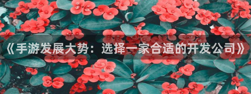 非凡游戏报数：《手游发展大势：选择一家合适的开发公司》