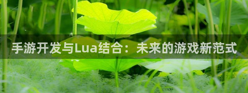 28大神免费预测