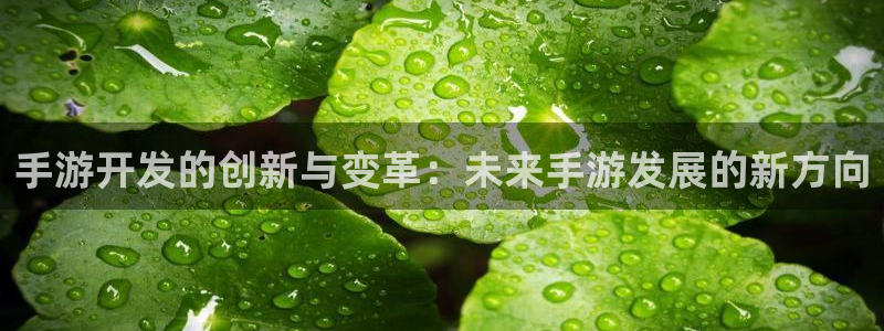 大神吧28怎么登陆：手游开发的创新与变革：未来手游发展的新方
