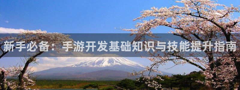 28大神怎么下载地址：新手必备：手游开发基础知识与技能提升指