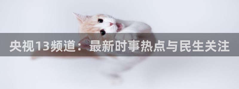 新闻图片