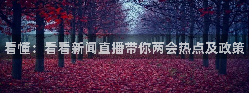 so米赛事直播：看懂：看看新闻直播带你两会热点及政策